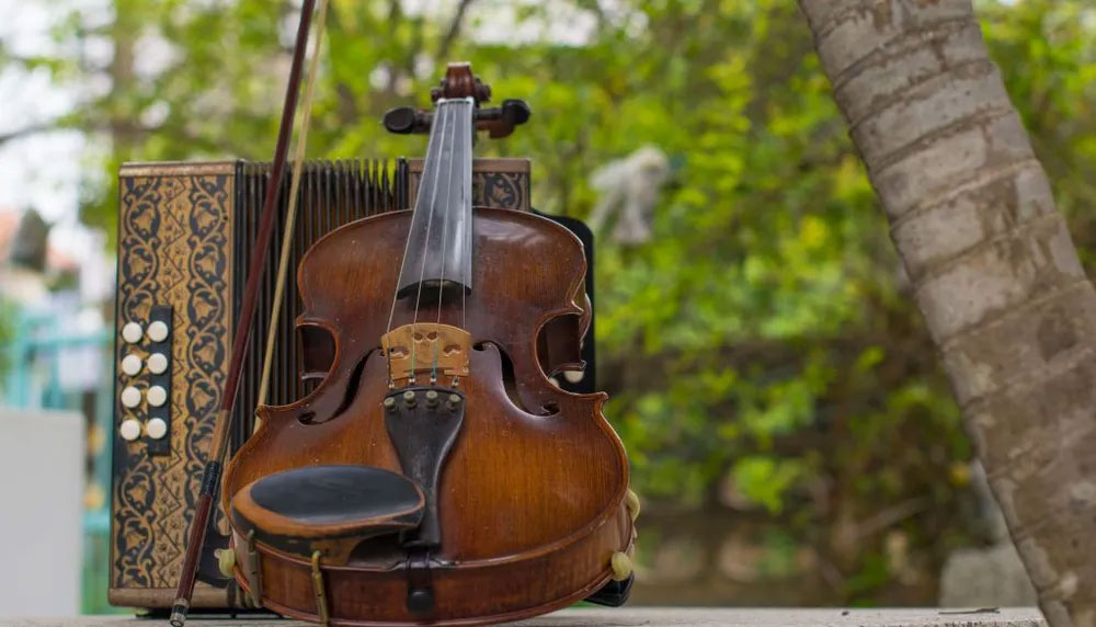 instruments